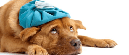 Screen Shot 2017-04-13 at 15.36.23